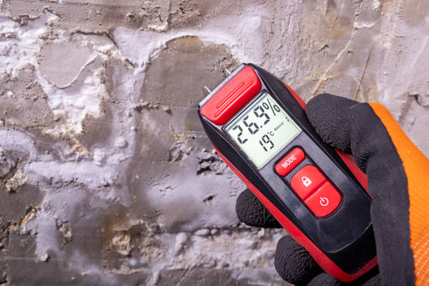 Best Crawl Space Mold Removal  in Vernon, TX