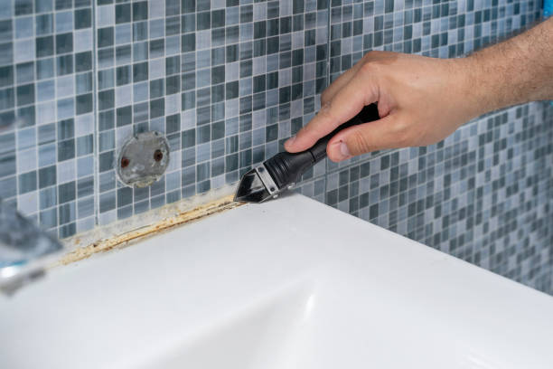 Best Mold Cleaning Services  in Vernon, TX