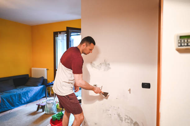 Best Mold Testing and Removal  in Vernon, TX